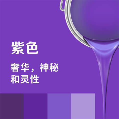 紫色 代表|紫色代表什么意思 紫色的含义和象征→MAIGOO知识